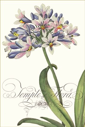 Framed Modern Atelier I Print