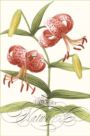 Framed Modern Atelier II Print