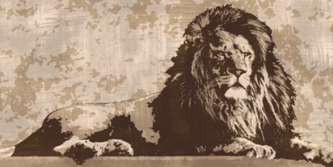 Framed Lion Print
