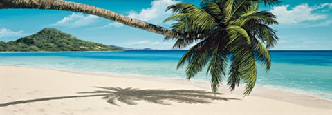 Framed Island View Print