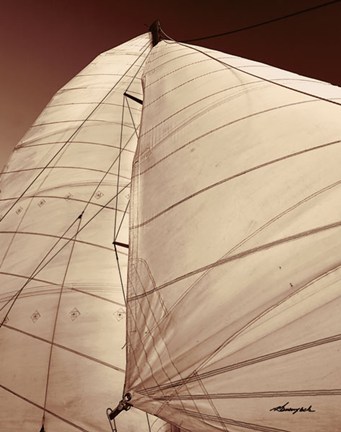 Framed Windward Sail III Print