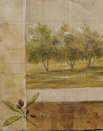 Framed Olive Groves I - CS Print