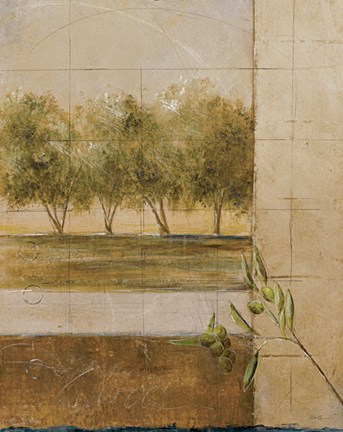 Framed Olive Groves II - CS Print