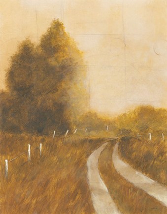 Framed Traveled Path II Print