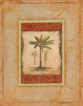 Framed Palm Botanical Study I - CS Print