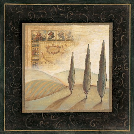 Framed Nature's Spirit II - CS Print