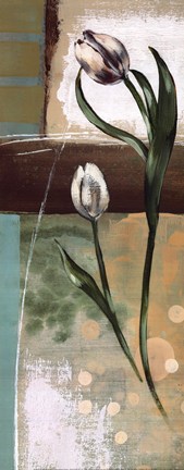 Framed Floral Splendor III Print