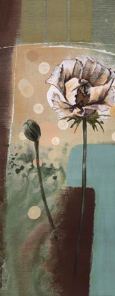 Framed Floral Splendor IV Print