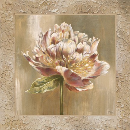 Framed Pivoines I - CS Print