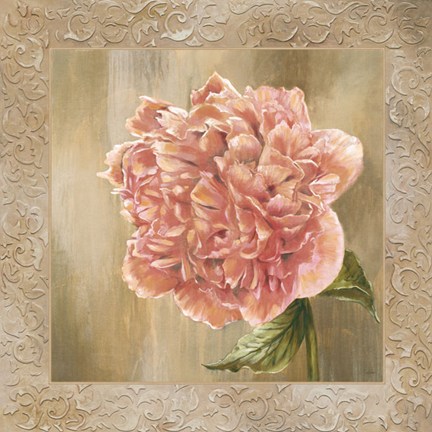 Framed Pivoines II - CS Print