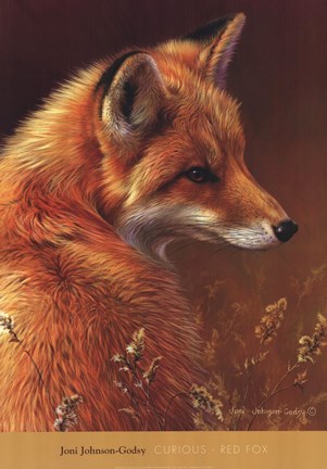 Framed Curious Red Fox Print