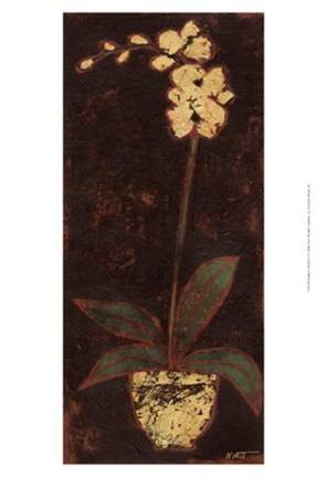 Framed Gilded Orchid II Print