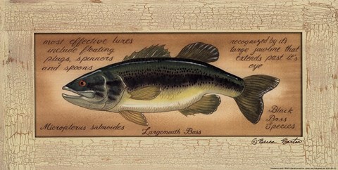 Framed Large Mouth Bass Print