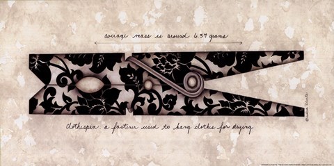 Framed Designer Clothes Pin Print