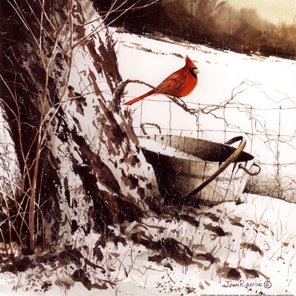 Framed Country Cardinal Print