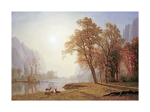 Framed Yosemite Valley Print