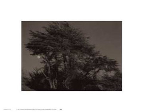 Framed Harvest Moon Print