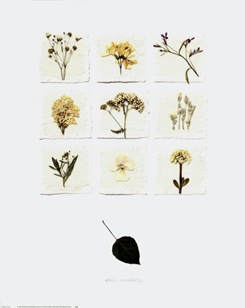 Framed White Lilacs Print