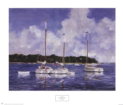 Framed Moored Cat Boats Print