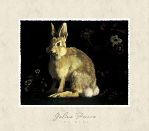 Framed Hare Print
