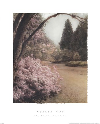 Framed Azalea Way Print