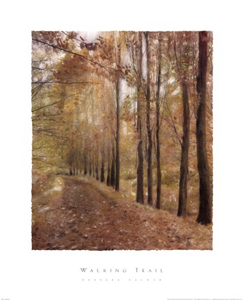 Framed Walking Trail Print