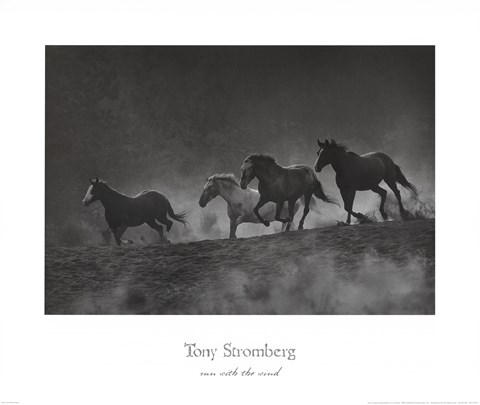 Framed Run with the Wind Print