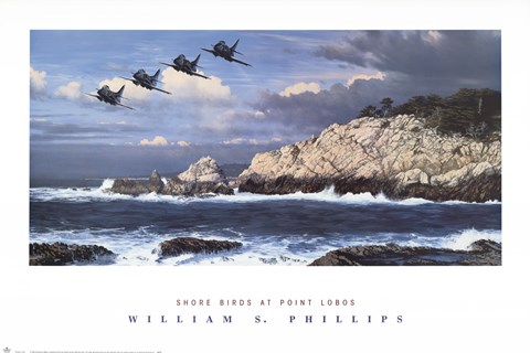 Framed Shorebirds at Point Lobos Print