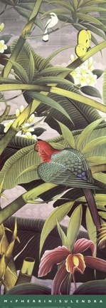 Framed Tropica II Print