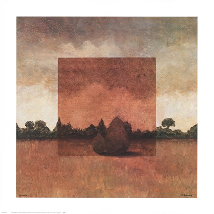 Framed Visions IV Print