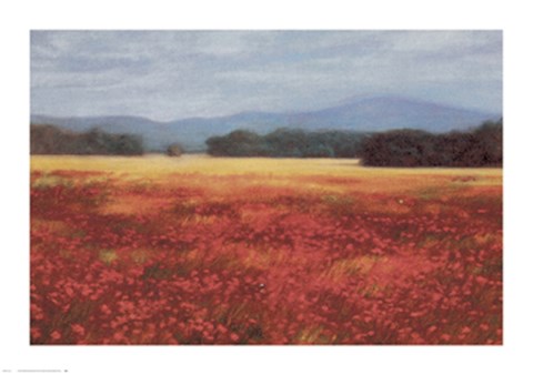 Framed French Poppy Fields Print