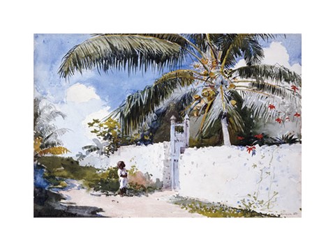 Framed Garden In Nassau Print