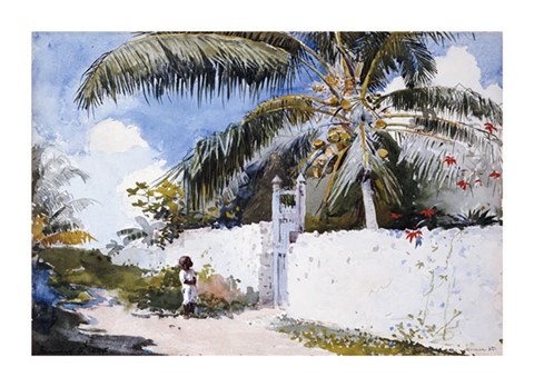 Framed Garden In Nassau Print