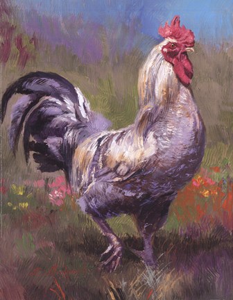 Framed Purple Rooster Print