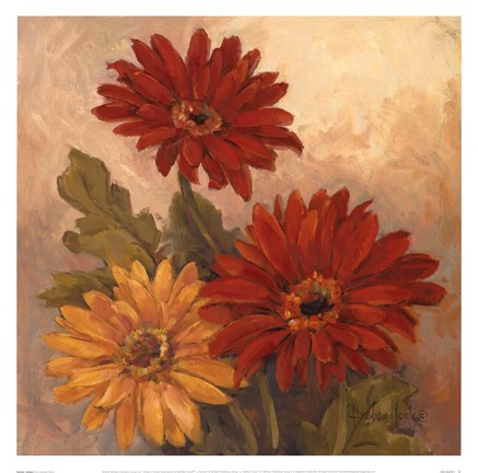 Framed Gerber Daisies I Print