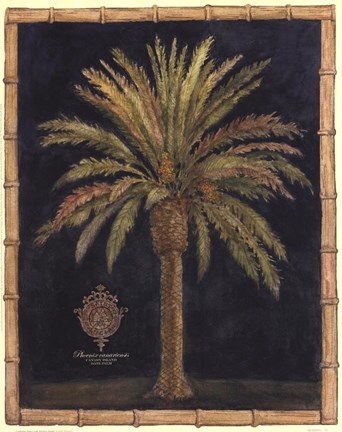 Framed Caribbean Palm I With Bamboo Border Print
