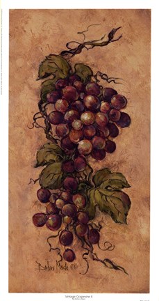 Framed Vintage Grapevine ll Print