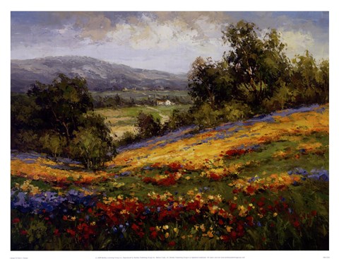 Framed Campo Di Fiore I Print