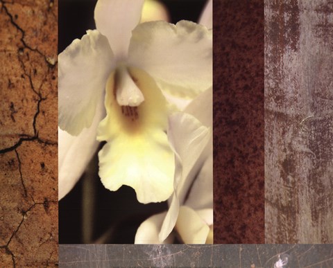 Framed Tropical Whites I Print