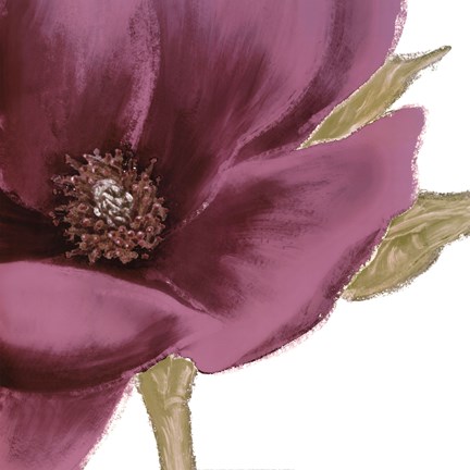 Framed Grandiflora Blush I Print