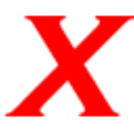 Framed Sunlit Rain forest I Print