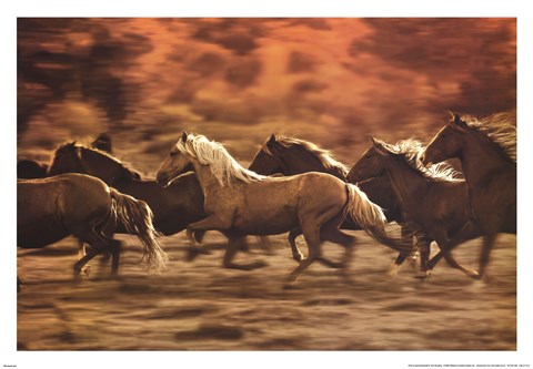 Framed Autumn Run Print