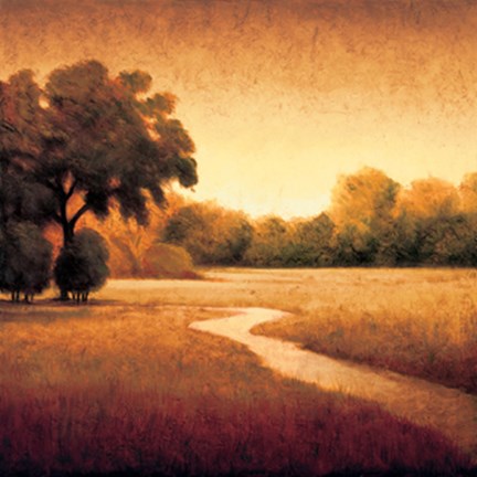 Framed Early Morning I Print