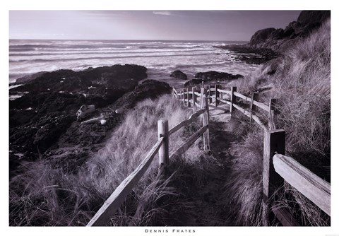 Framed Pathway To Beach Print