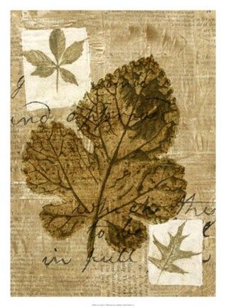 Framed Leaf Collage IV Print