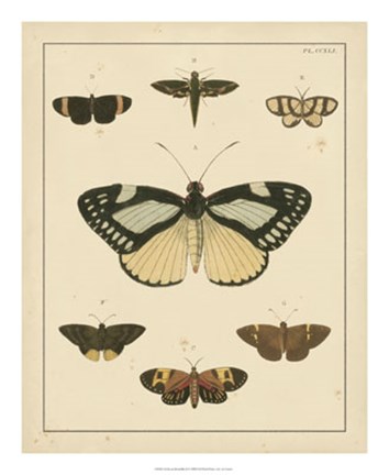 Framed Heirloom Butterflies II Print