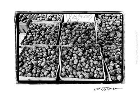 Framed Farmer&#39;s Market VI Print