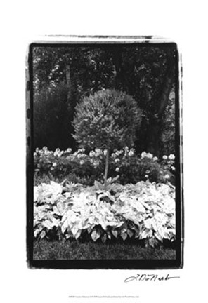 Framed Garden Hideaway II Print