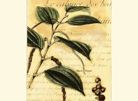 Framed Black Pepper Print
