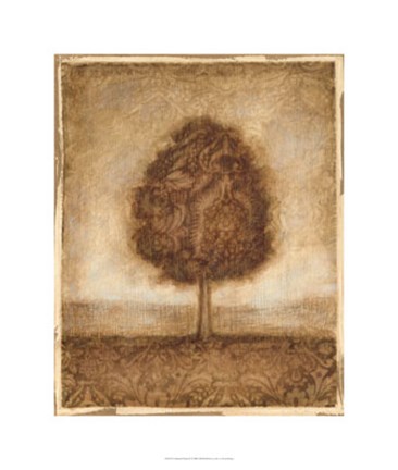 Framed Patterned Maple II Print